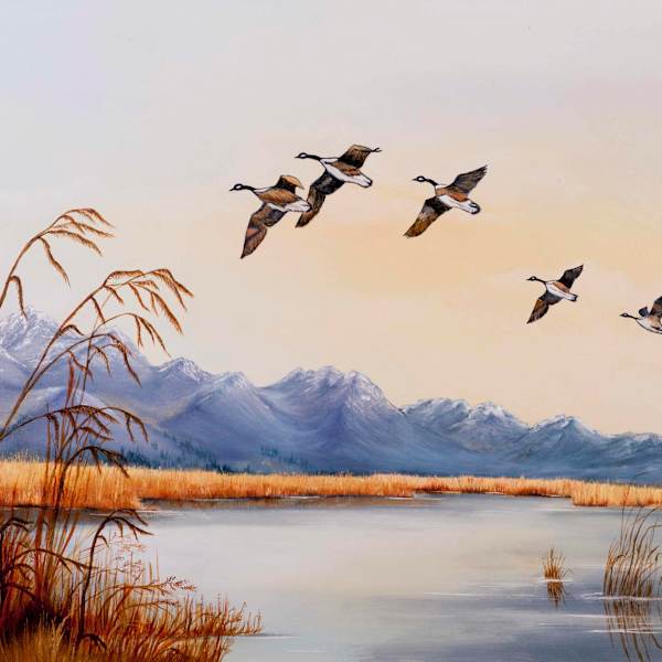 Serenity by Aloma Ercanbrack, Image 1.