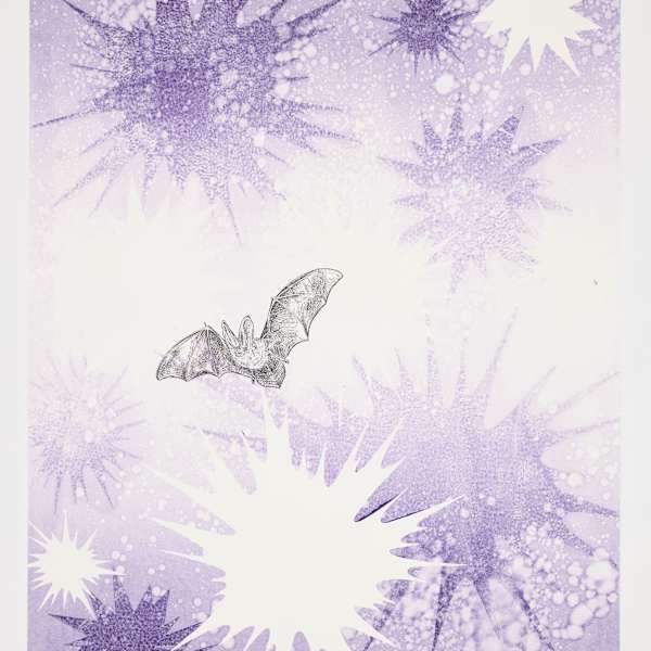 Nocturne #6 (Townsend's big-eared bat) by Kara Maria, Image 2.