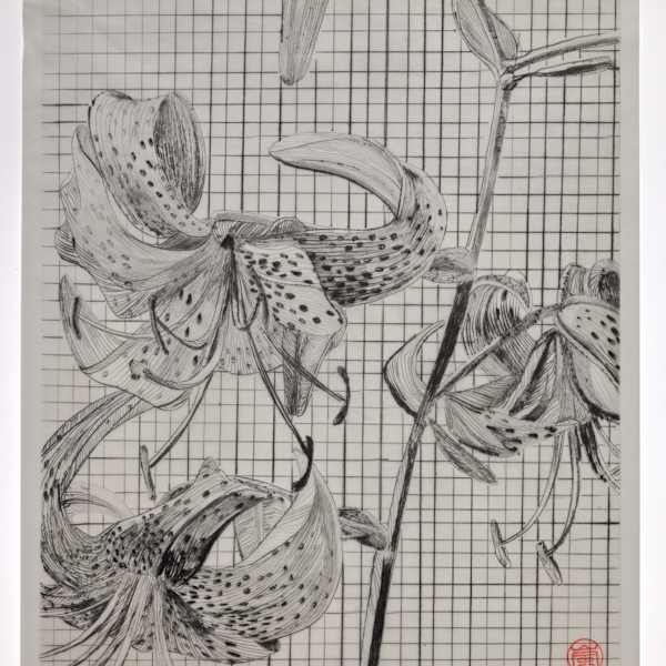 Tiger Lily by Storm Tharp, Image 3.