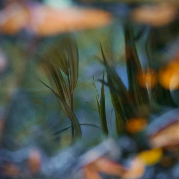 Hindsight by Lucy Lee, Image 1.