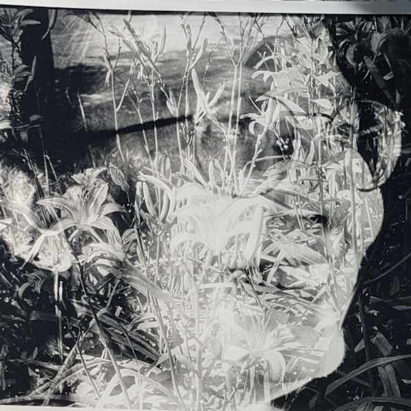 Nanny by Jude Morton, Image 1.