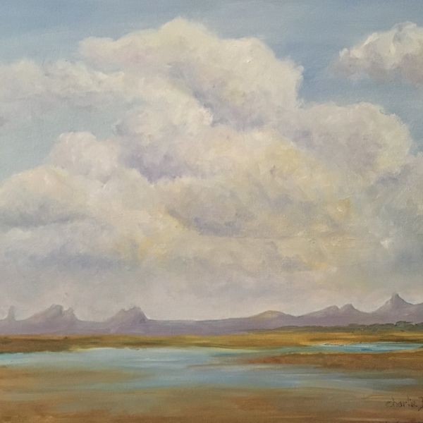 After a Monsoon by Charlie (Sharlette) Burton, Image 1.