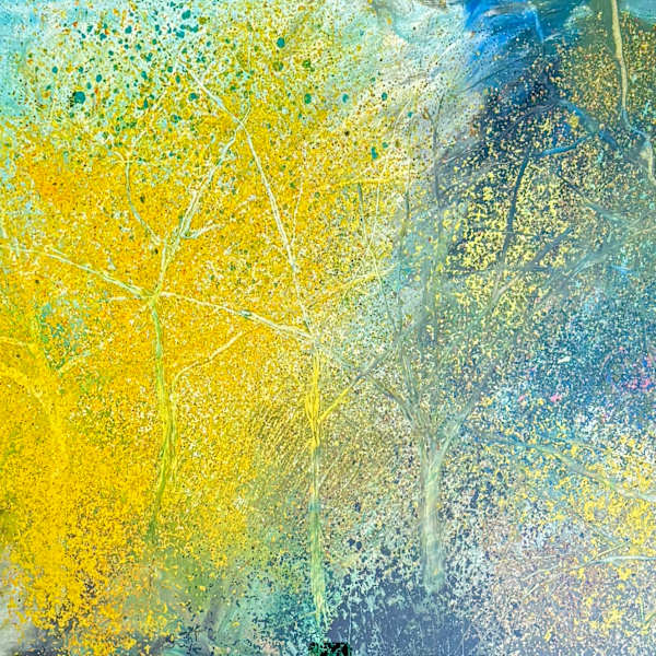 Palo Verde Dream by David Adix, Image 1.