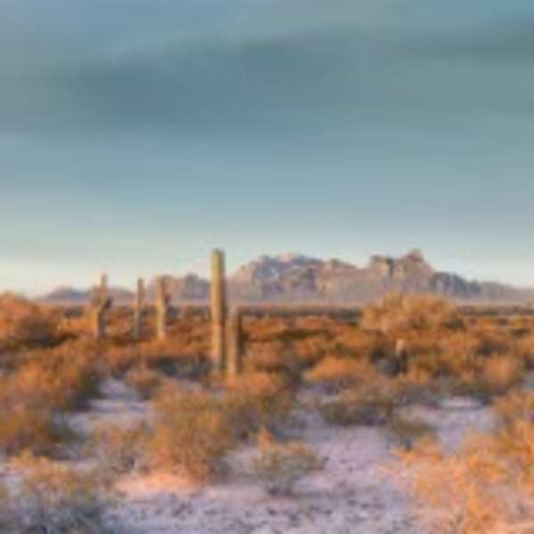 Under Sonoran Skies by Martin Baker, Image 1.