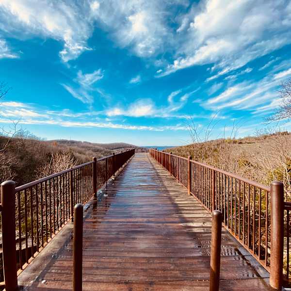 Freedom by Gil Macaraeg, RN, Image 2.
