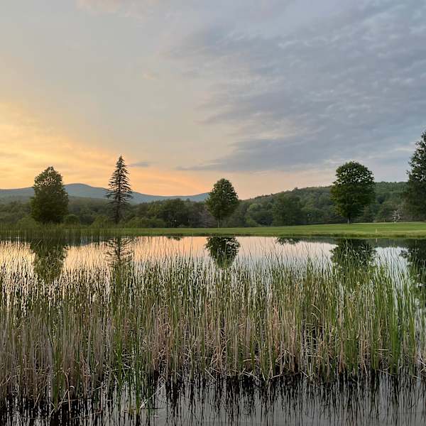 Reflections by Lara Colton, MD, Image 13.