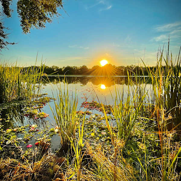 Kitty Hollow Lake at Sunset by Robert Johnson, Image 14.