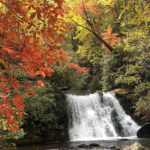 Fall Waterfall by Elizabeth Laguaite, Image 6.