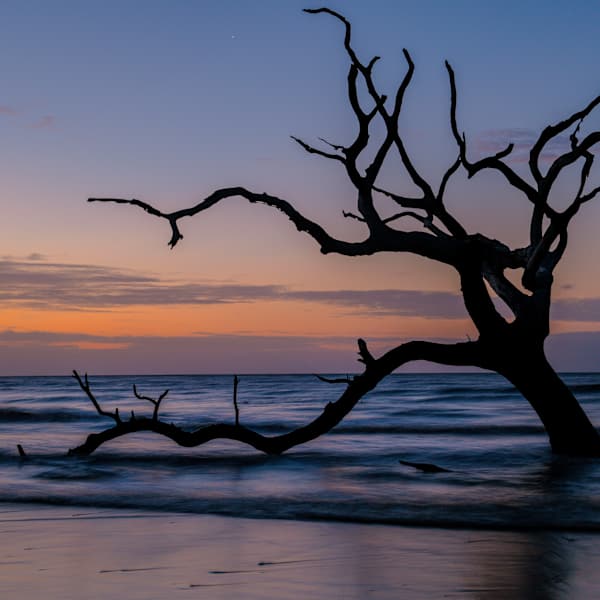 Morning Silhouette by David Reynolds, Image 10.