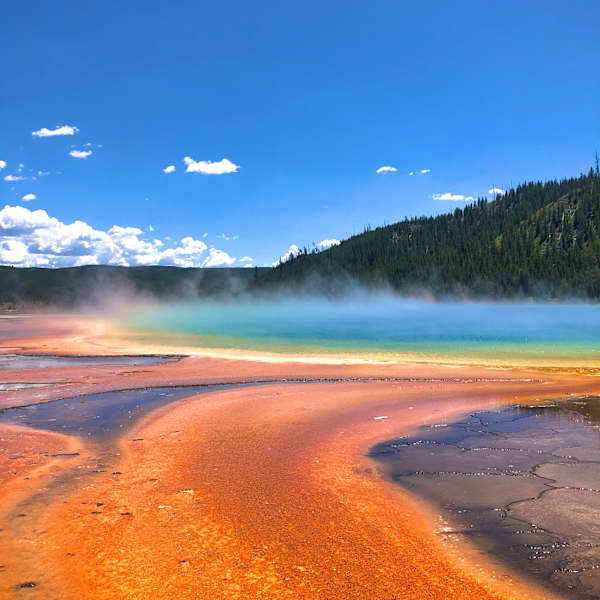 Vibrant Geyser by Elizabeth Sparrow, Image 11.
