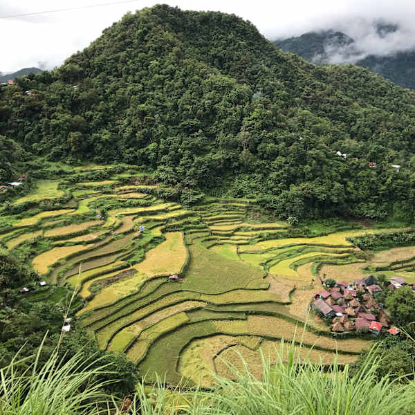Banaue Rice Terrace Village by Steven Talbot, Image 6.