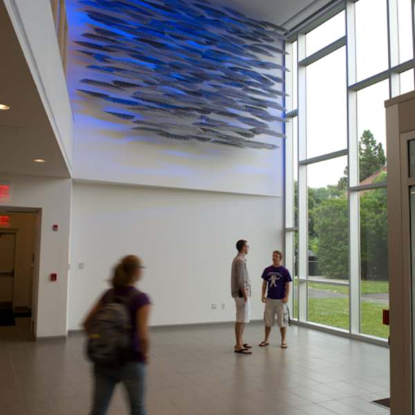 Schooling by Cliff Garten, Image 1.