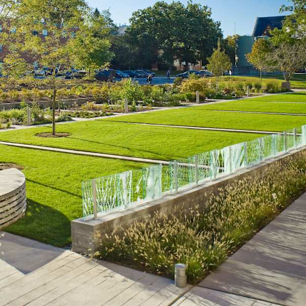 Heber W. Younken Medicinal Garden by Elizabeth Billings, Andrea Wasserman, Image 1.