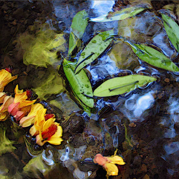 Water Flowers by Hagit Cohen, Image 1.