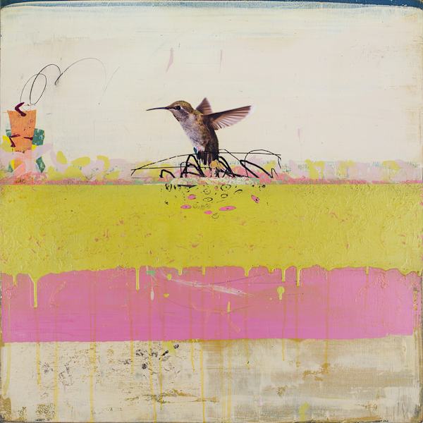 Allen's Hummingbird by Michael Cutlip, Image 1.
