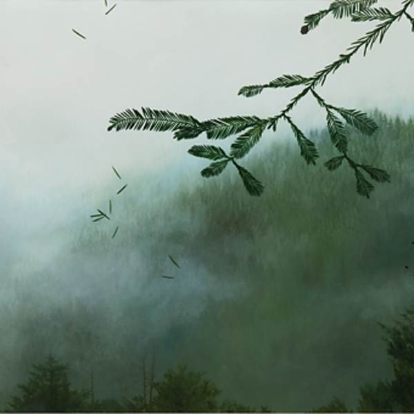 Redwood by Yvette Molina, Image 1.