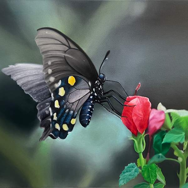 The Pipevine Swallowtail by Taylor Moore, Image 1.