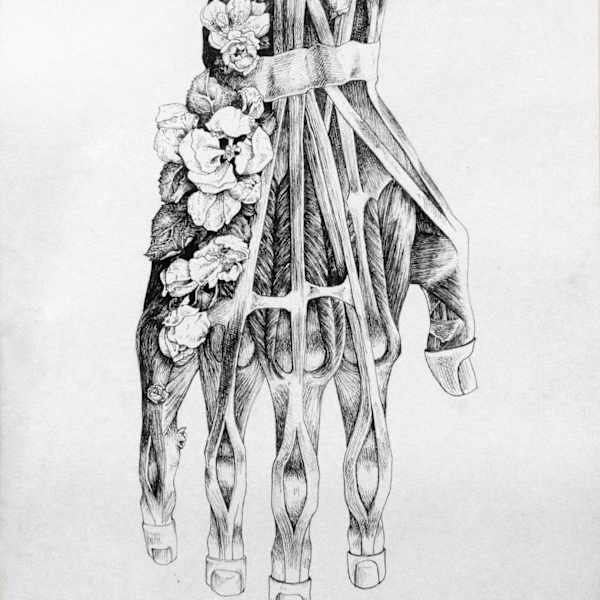 Græf Blostma by Rebecca Sexton, Image 1.