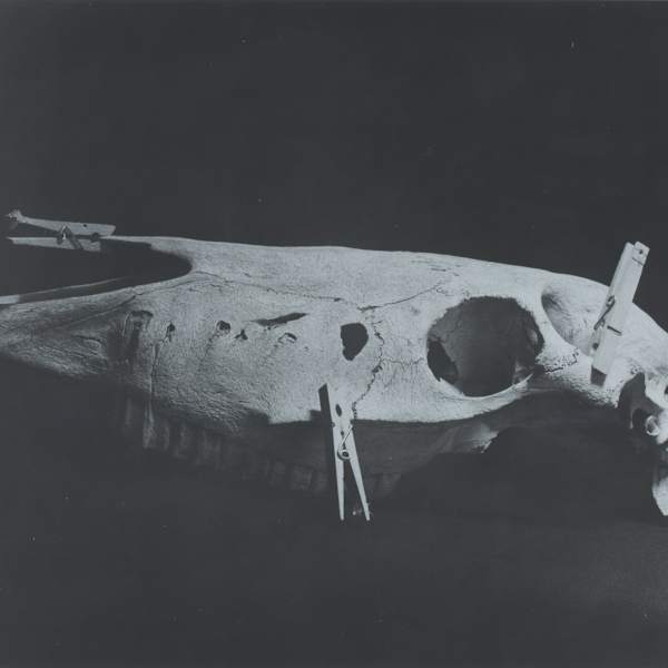 Cling by Isabella Jordan, Image 1.