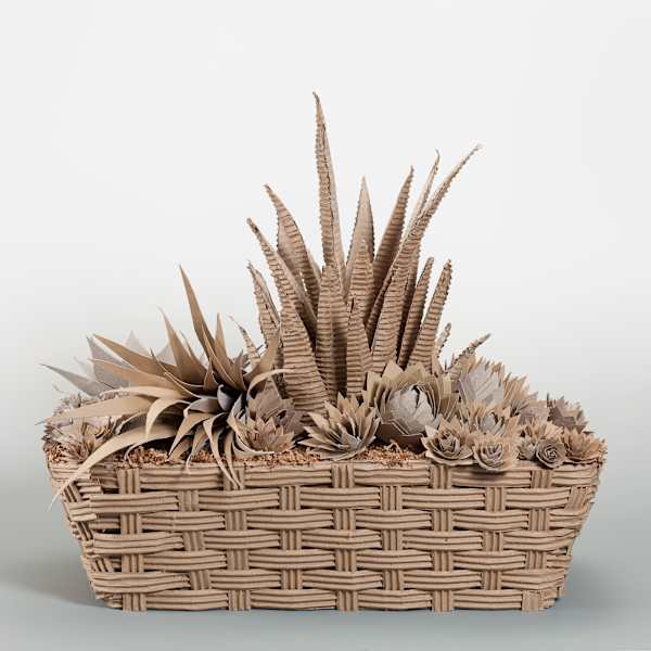 Succulent Garden by Camela Gray, Image 1.