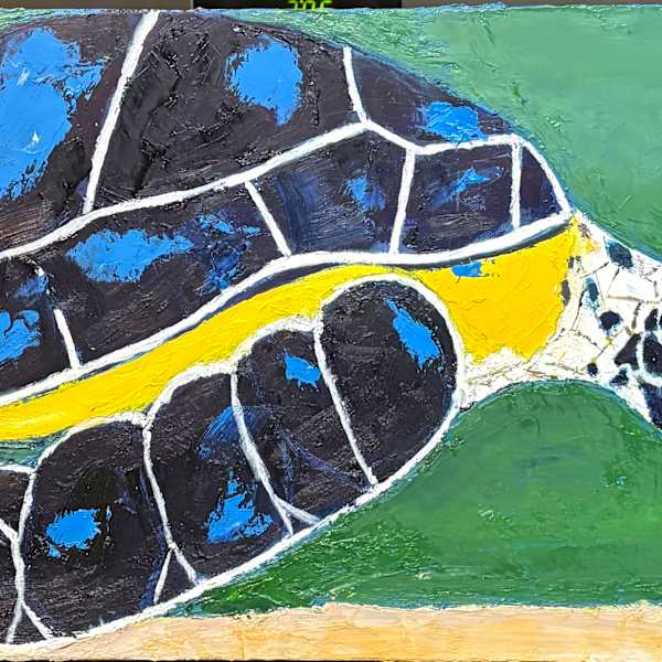 Sea Turtle by Jim Hoehn, Image 1.