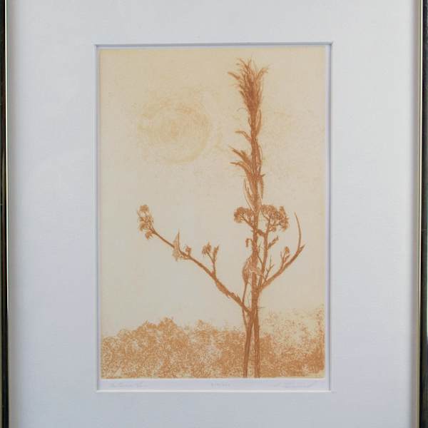 Autumn Sun by Howard Lessnick, Image 3.