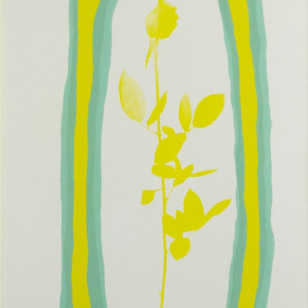 Yellow Rose In A Pea Pod by Vivian Bergenfeld, Image 2.