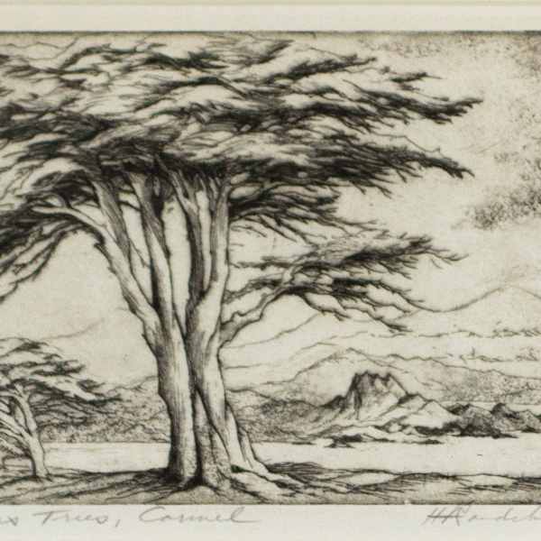 Cypress Trees, Carmel by Harriet Gene Roudebush, Image 2.