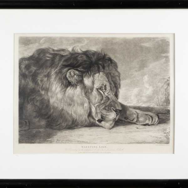 Sleeping Lion by John F. Lewis, Image 2.