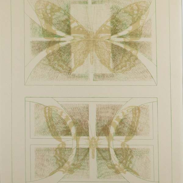 Species Americana by Enid Mark, Image 2.