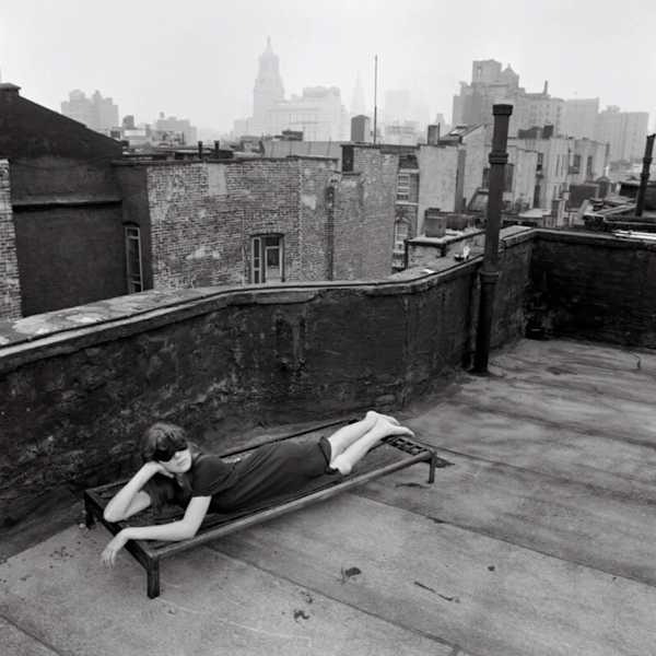 Rooftop by Jenny Lynn, Image 2.