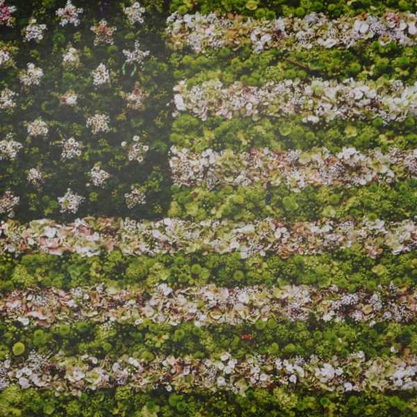 American Flag, 2009 by Vik Muniz, Image 1.