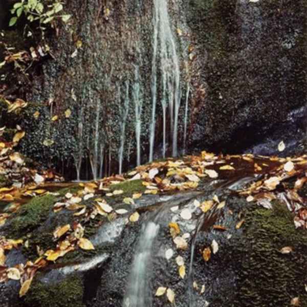 Waterfall, Hagavatn, Iceland, 1972 by Eliot Porter, Image 2.