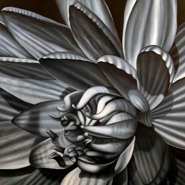 Black and White Waterlily by Juan Bernal, Image 3.