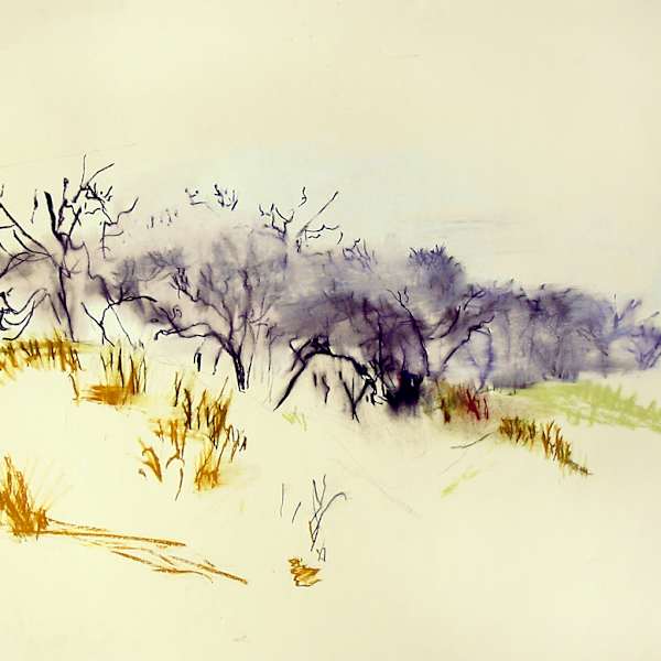 Kansas by Nancy Brett, Image 6.