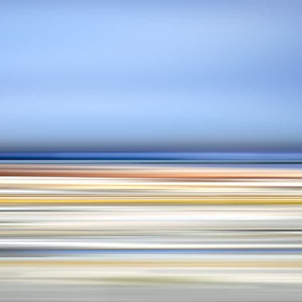 Desert 14 - Death Valley Superbloom by Danae Fallier, Image 1.