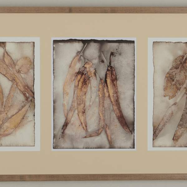 Blue Gum Leaves by Ginny Retmock, Image 1.