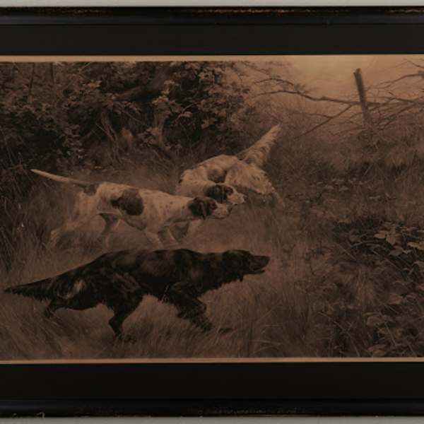Steady by Thomas Blinks, Image 1.