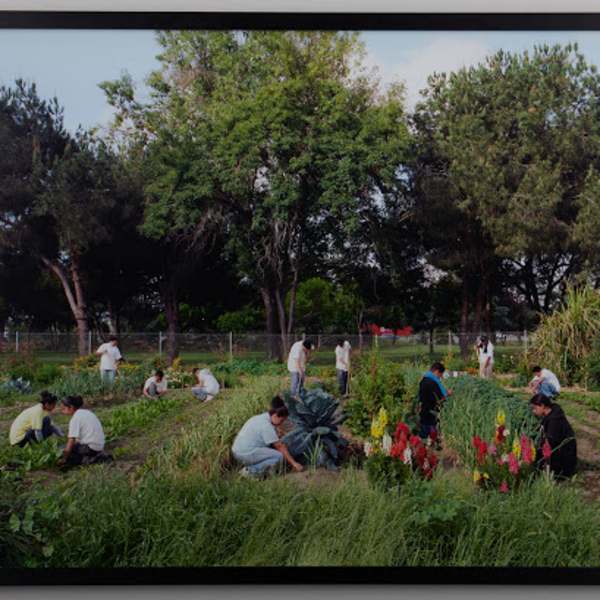 Earthworks by Bia Gayotto, Image 1.