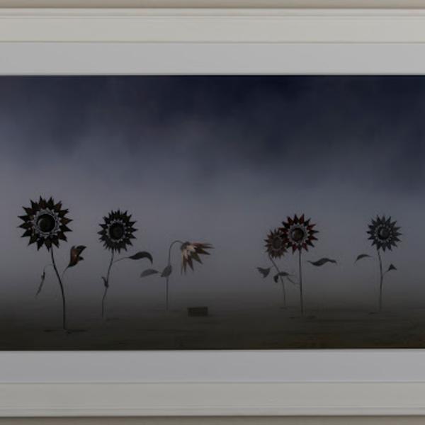 Burning Man Series, Flower Garden by Zev Berman, Image 1.