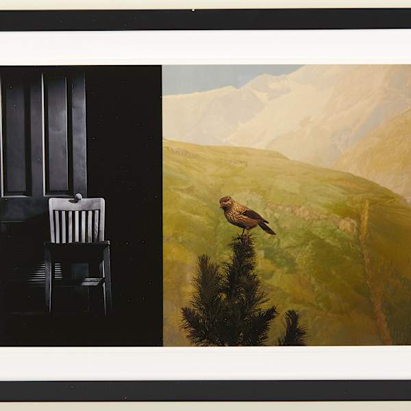 Chair and Bird by Eileen Cowin, Image 2.