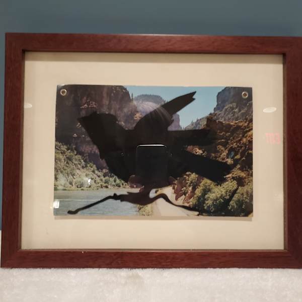 Crow by Liz Young, Image 1.
