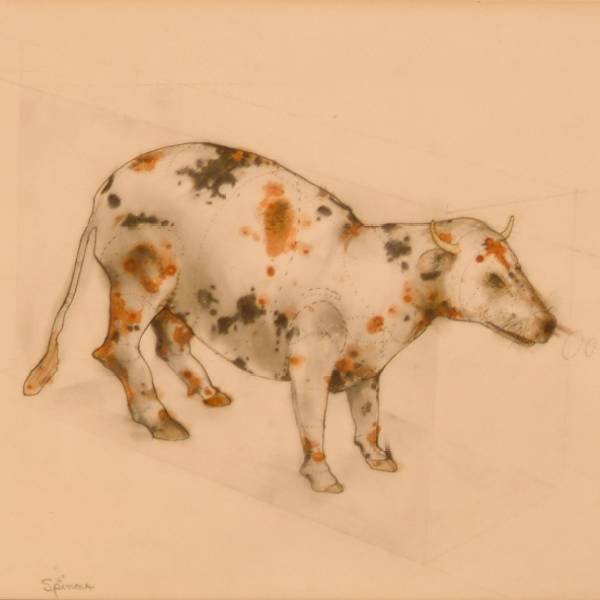Cow (Unknown to this Region) by Gary Spinosa, Image 1.