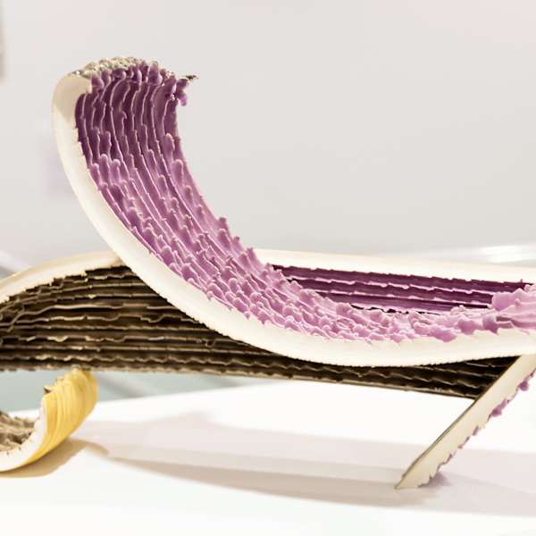 Fringe by Amy Sinbondit, Image 1.