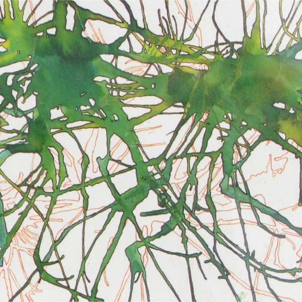 Sea Weeding by Phil Soucy, Image 1.