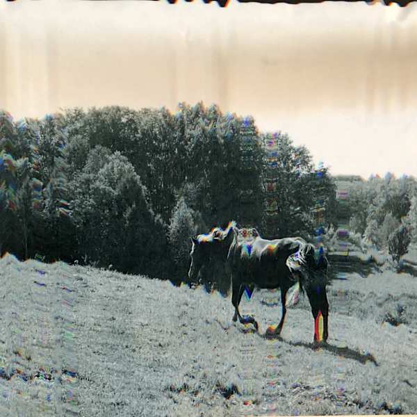 Psychedelic Rodeo by Max McMillen, Image 1.