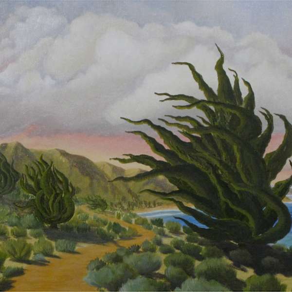 Cypress, Santa Barbara by Carol Geyer, Image 1.
