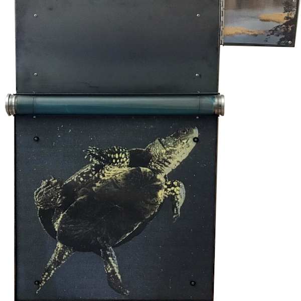 Turtle by Don Harvey, Image 1.