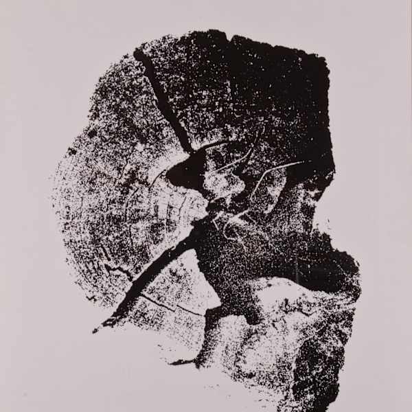 Log by Edward Ghannam, Image 1.