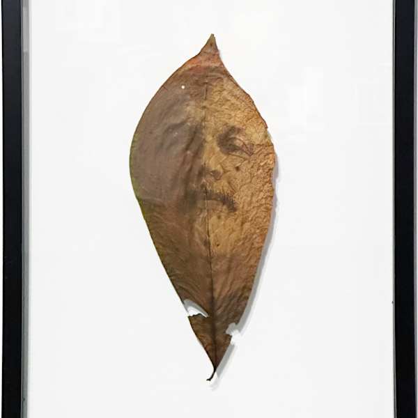 Karlis by Sean Mabin, Image 3.